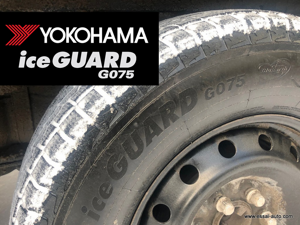 TOUT LE MONDE A BESOIN D'UN AMI AVEC UN CAMION